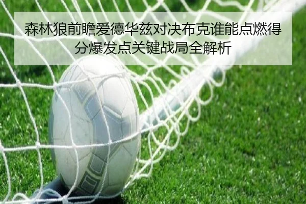 森林狼前瞻爱德华兹对决布克谁能点燃得分爆发点关键战局全解析