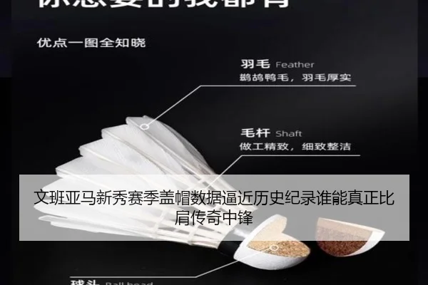 文班亚马新秀赛季盖帽数据逼近历史纪录谁能真正比肩传奇中锋