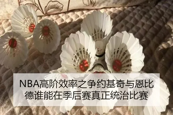 NBA高阶效率之争约基奇与恩比德谁能在季后赛真正统治比赛